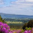 GALLERY: Treasure Ireland – 16 images of Tipperary that will make you want to live there