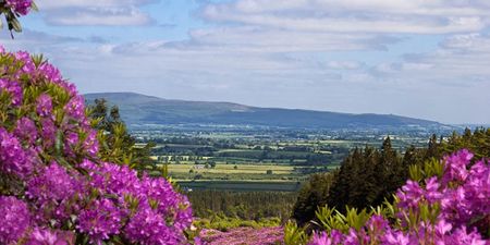 GALLERY: Treasure Ireland – 16 images of Tipperary that will make you want to live there