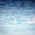 Video: This Irish-Australian surfer had a lucky escape from a shark attack