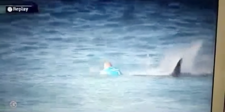 Video: This Irish-Australian surfer had a lucky escape from a shark attack
