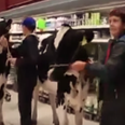 VIDEO: Cows invade a supermarket in a protest moo-vement like no other