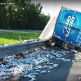 Video: Delivery truck topples on highway leaving free beer cans everywhere