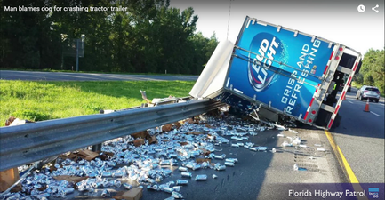 Video: Delivery truck topples on highway leaving free beer cans everywhere