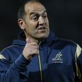 Vine: Australia’s scrum coach spotted picking his ear and eating the contents during All-Black clash