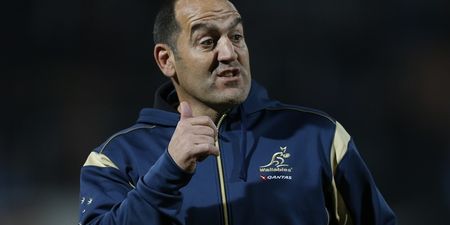 Vine: Australia’s scrum coach spotted picking his ear and eating the contents during All-Black clash