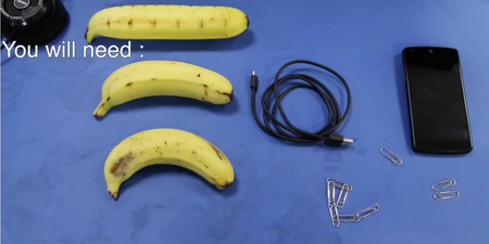 VIDEO: You can now bizarrely charge your phone with bananas