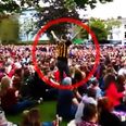 Video: This must be the bravest Kilkenny fan in the world