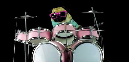 VIDEO: This dog playing the drums to Metallica’s Enter Sandman wins the internet
