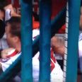 VIDEO: Incredible scenes as baseball player attacks his teammate in the dugout