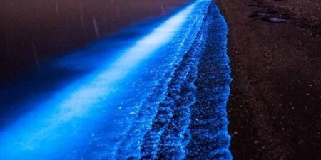 PIC: This spectacular ‘sea sparkle’ will be visible in Kerry again tonight