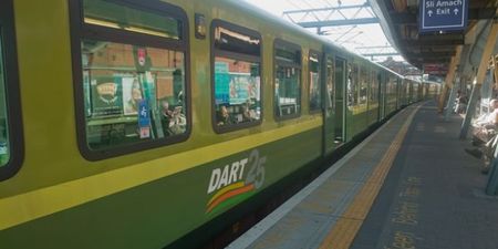 Large section of DART line suspended until further notice due to fire damage