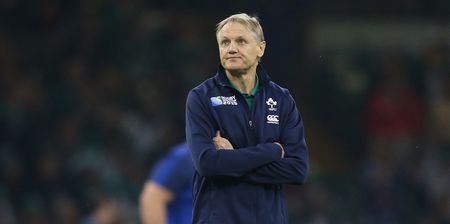 Reports in France suggest Joe Schmidt is being lined up as the next England coach