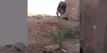 VIDEO: Iraqi soldier with balls of steel evades ISIS sniper by using his brain