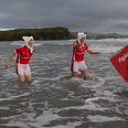 VIDEO: Watch these brave souls take the Polar Plunge for Special Olympics Ireland