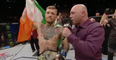 VIDEO: Conor McGregor shouting “Ireland baby, we did it” is the sweetest thing you’ll hear today