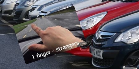 PIC: A brilliant guide on how Irish drivers salute each other in the country