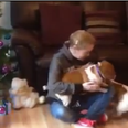VIDEO: Two dogs welcoming their owner home from hospital will melt your heart