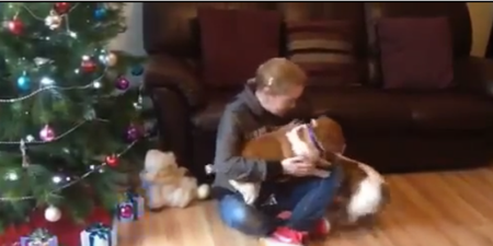 VIDEO: Two dogs welcoming their owner home from hospital will melt your heart
