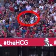 VIDEO: Supporter defies gravity (and other fans) to spectacularly catch a stray ball