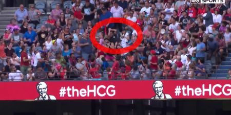 VIDEO: Supporter defies gravity (and other fans) to spectacularly catch a stray ball