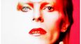 On the anniversary of his death, which David Bowie persona best describes you?