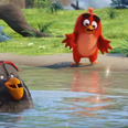 VIDEO: The Angry Birds movie trailer is here, explains why birds are angry