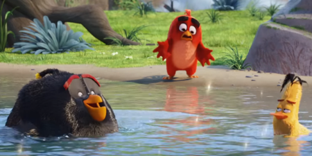 VIDEO: The Angry Birds movie trailer is here, explains why birds are angry