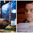 PIC: Sky Comedy has taken the perfect approach to their Groundhog Day scheduling