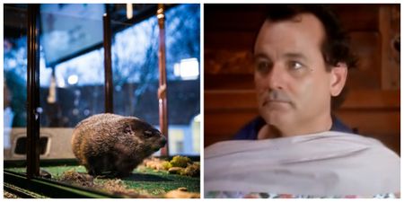 PIC: Sky Comedy has taken the perfect approach to their Groundhog Day scheduling