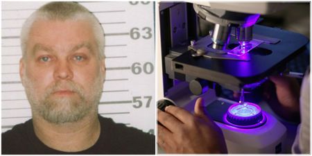 Making a Murderer: This new forensic technique could help acquit Steven Avery of murder