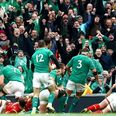 TWEETS: The best reaction to Ireland’s draw with Wales at the Aviva Stadium