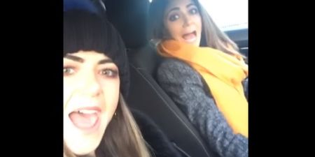 VIDEO: Terrified Tayto rollercoaster girl is back and she’s been scaring the bejaysus out of her twin sister