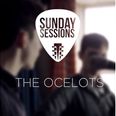 Sunday Sessions – The Ocelots