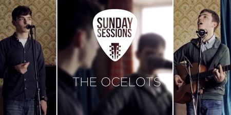Sunday Sessions – The Ocelots