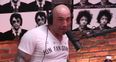 VIDEO: Lots of love for Irish MMA fans and Conor McGregor on Joe Rogan’s Podcast