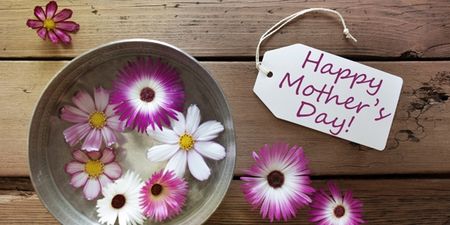 ‘It’s hypocritical to celebrate Mother’s Day’ says director of Iona Institute