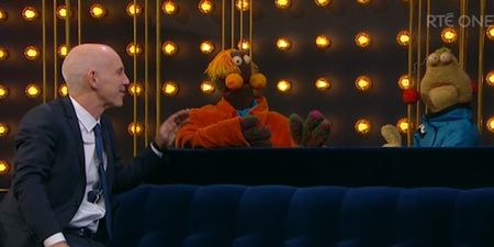 VIDEO: Zig and Zag gave us a nostalgia overload by appearing on The Ray D’Arcy Show