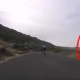 VIDEO: Check out the speed of this ostrich as it chases after two cyclists