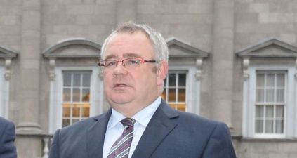 Seán Ó Feargháil has been elected as the brand new Ceann Comhairle by the 32nd Dáil