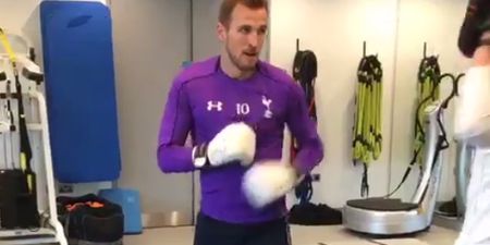 WATCH: Dele Alli backs Harry Kane to fight Conor McGregor after this very impressive sparring video
