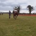 WATCH: Tipperary man running onto racecourse getting absolutely wiped out of it by a horse (NSFW)