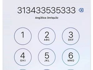 PIC: How many times can you see the number 3 on this iPhone screen?
