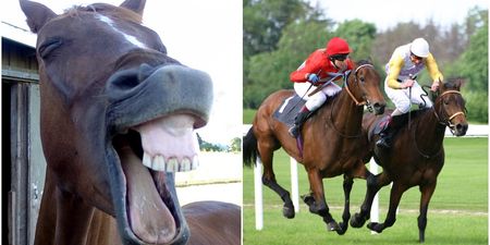 Of course there’s now a racehorse called Horsey McHorseface