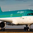 The sky is the limit for your career as Aer Lingus relaunches their apprenticeship programme