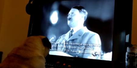 VIDEO: Man arrested for teaching his dog to do a Nazi salute