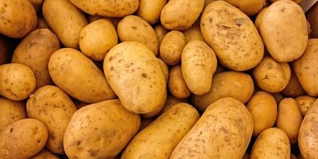 Met Éireann have issued a potato blight warning for the entire country