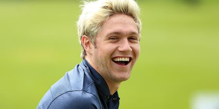 The title of Niall Horan’s debut solo album will definitely make you do a double-take