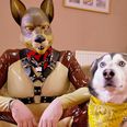 Channel 4’s ‘Secret Life Of Human Pups’ had everyone asking the same question