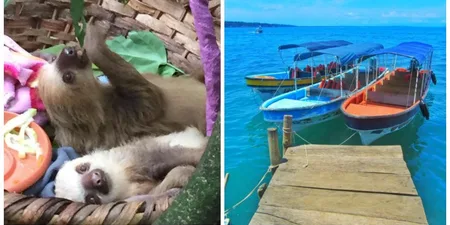 JOE Backpacking Diary #9 – Meeting baby sloths, a visit to A&E and finding Panama’s paradise beaches