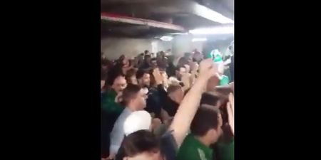 WATCH: Irish fans went absolutely nuts for Shane Long at half-time in the Ireland match